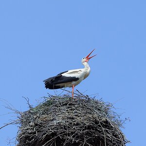700 2564f: Usedom 05/2013