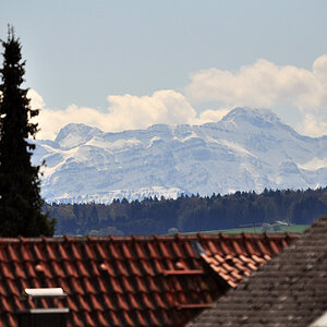 DSC 3635 Kopie