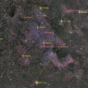 ngc7000 / Nordamerikanebel Texture