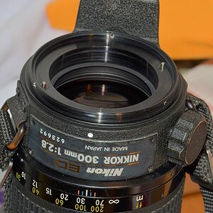 DSC 8287