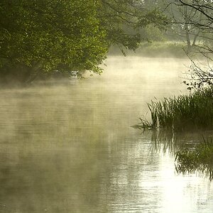 DSC 0094