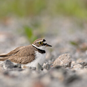 DSC8943 Bearbeitetnff