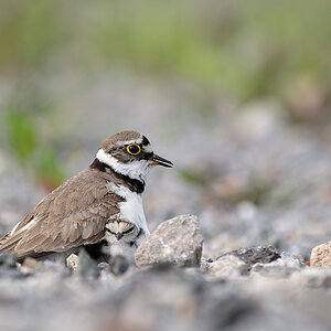 DSC8841 Bearbeitetnff