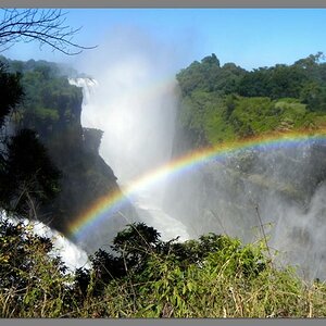 Vic Falls