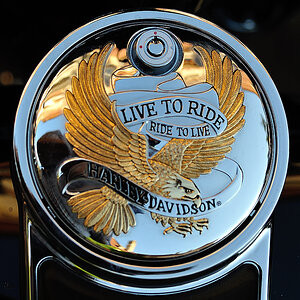 Live To Ride