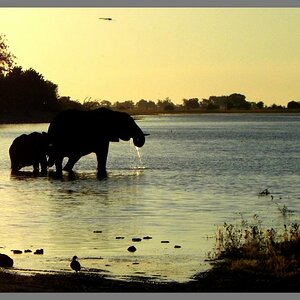 Okavango Fluss