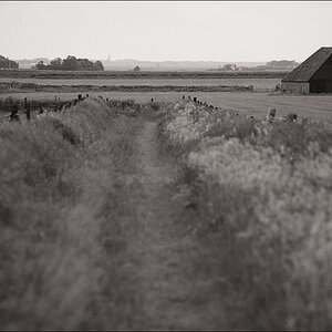L1007099