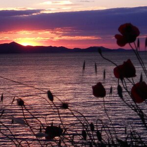 Sonnenuntergang in Dalmatien