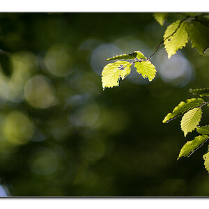 lighning2