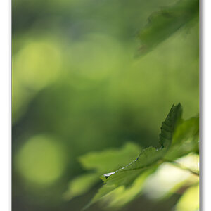 lighning3