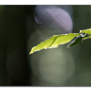 lighning5