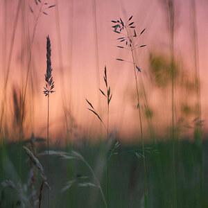 289sonnenuntergang