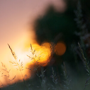 203sonnenuntergang