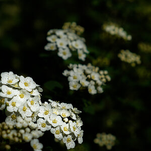 20130512 163039