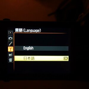 DSC00004
