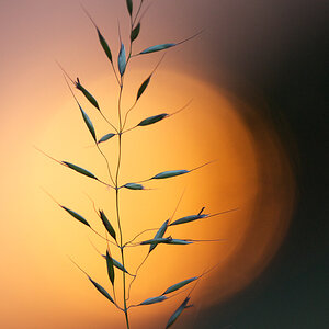 200sonnenuntergang