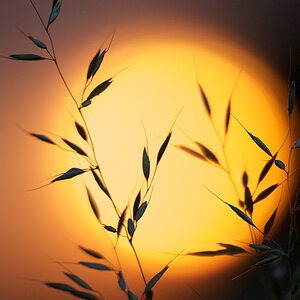 194sonnenuntergang