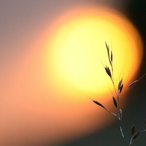 173sonnenuntergang