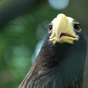 Tiergarten 07 06 13 012 1