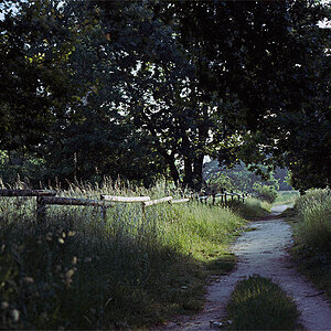 Frankfurt2