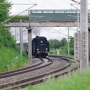 DSC 2124 44 1486 8