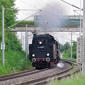 DSC 2131 44 1486 8
