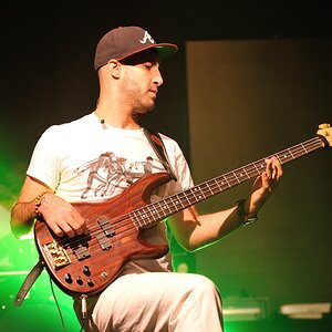 Bassist