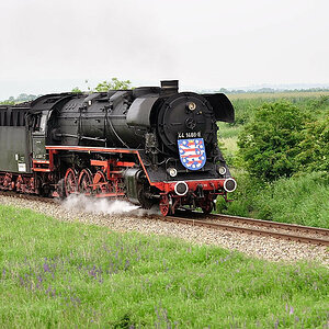 DSC 2319 44 1486 8