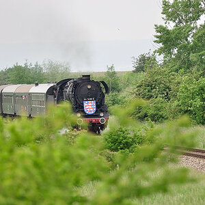 DSC 2311 44 1486 8