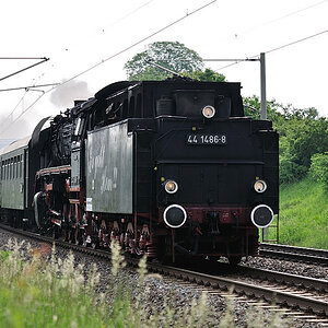 DSC 2238 44 1486 8