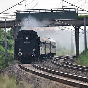 DSC 2229 44 1486 8