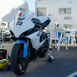 DSC 3536 Suzuki
