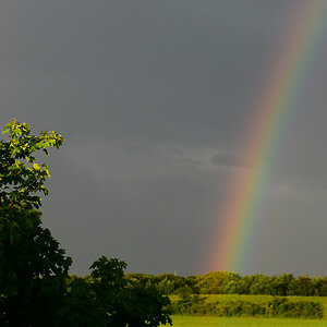 DSC 9604 Regenbogen