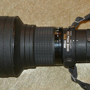 DSC 8008