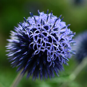 35/1.8, 1/2000, f/2.8, ISO 100