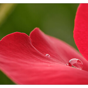 2013 06 23 DSC 8336 w
