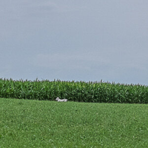DSCF6382