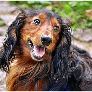 Mein bester Freund Toni
