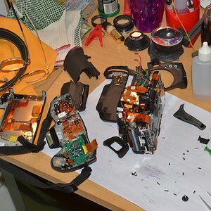 DSC 8008