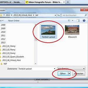 NF F Bilderupload 08