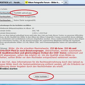 NF F Bilderupload 09