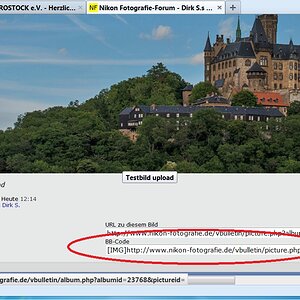 NF F Bilderupload 12