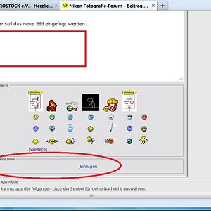 NF F Bilderupload 21