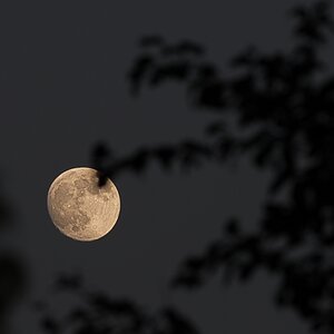 2 Tage vor Vollmond im Juni / 2013