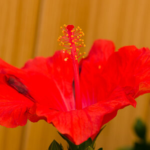 20130720 DSC 3223