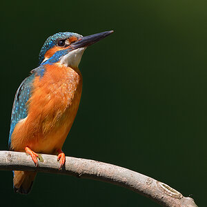 DSC 1789test