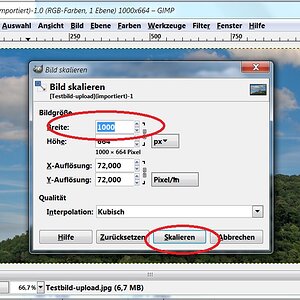 GIMP Bild  verkleinern 02
