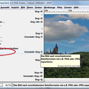 GIMP Bild  verkleinern 03