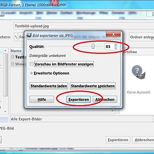 GIMP Bild  verkleinern 06