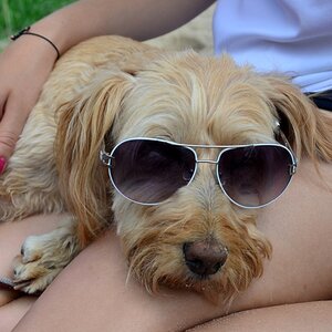 Kessy